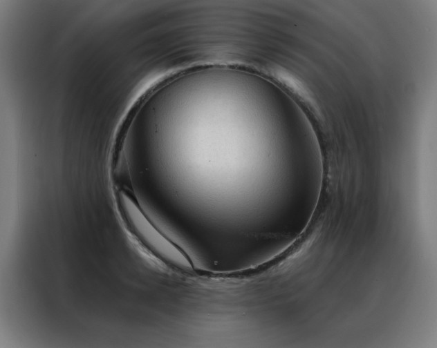 X0000088390942200705221111