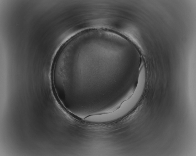 X0000088390943200705221111