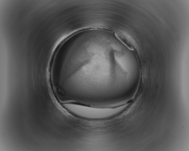 X0000088390944200705221111