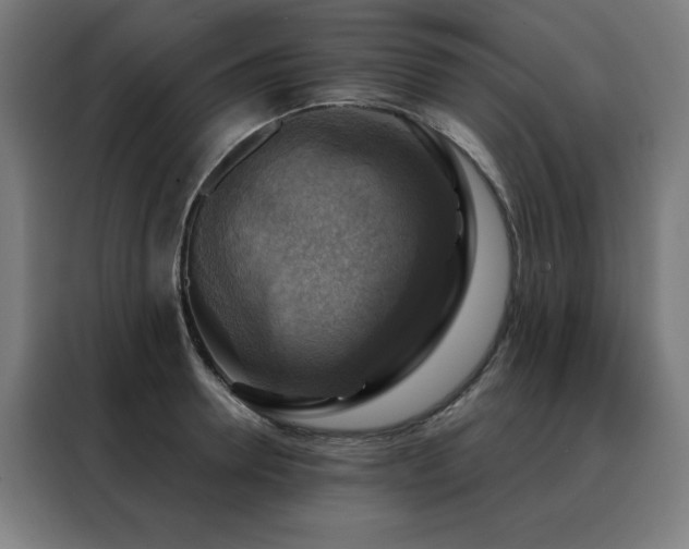 X0000088390946200705221111