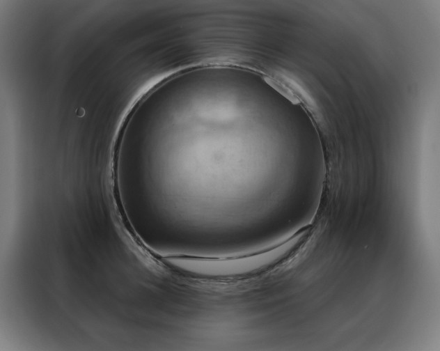 X0000088390948200705221111