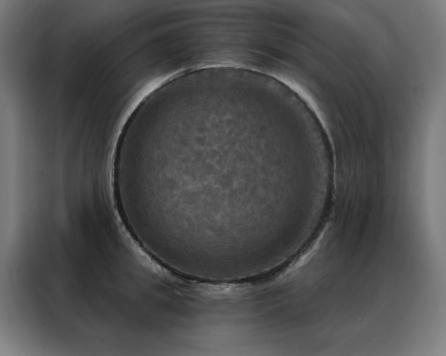 X0000088390949200705221111