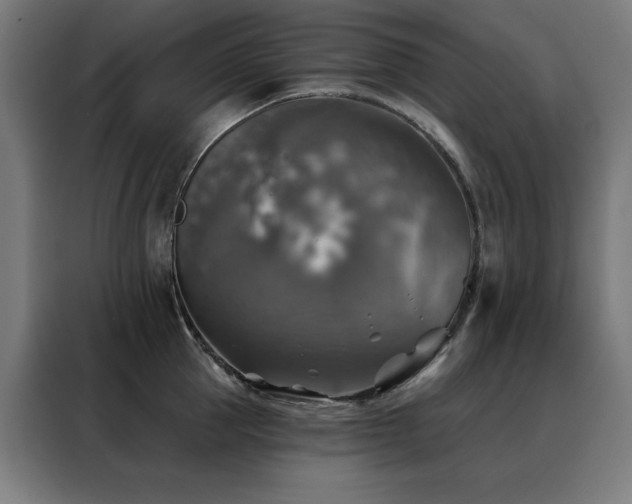 X0000088390953200705221111