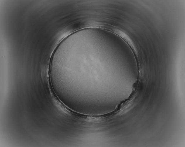 X0000088390954200705221111