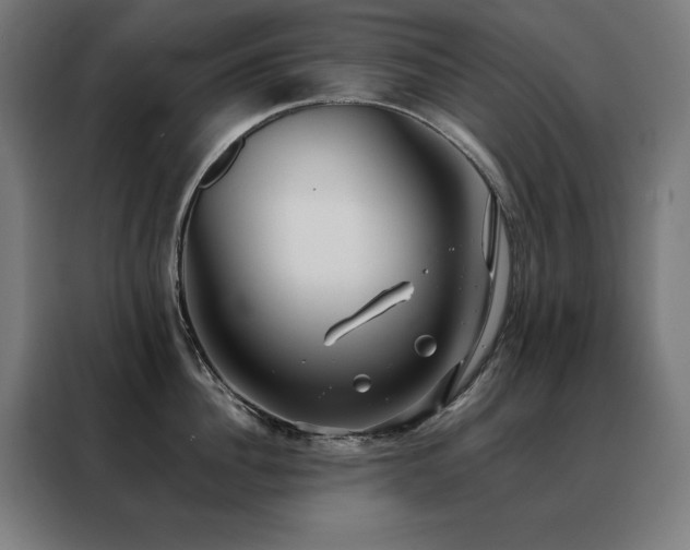 X0000088390956200705221112