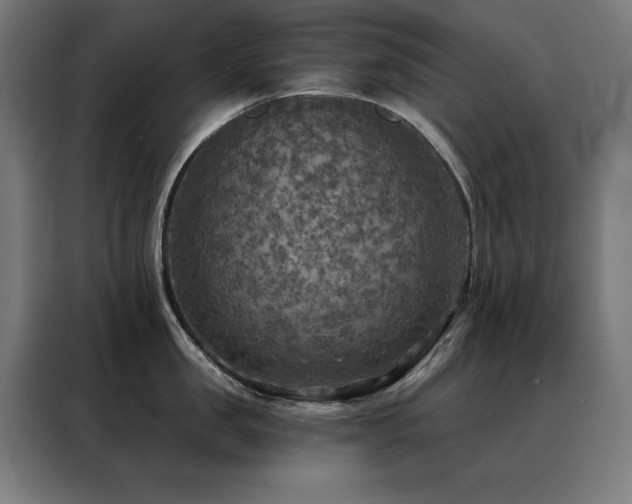 X0000088390957200705221112