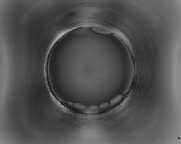 X0000088390958200705221112