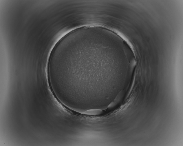 X0000088390959200705221112