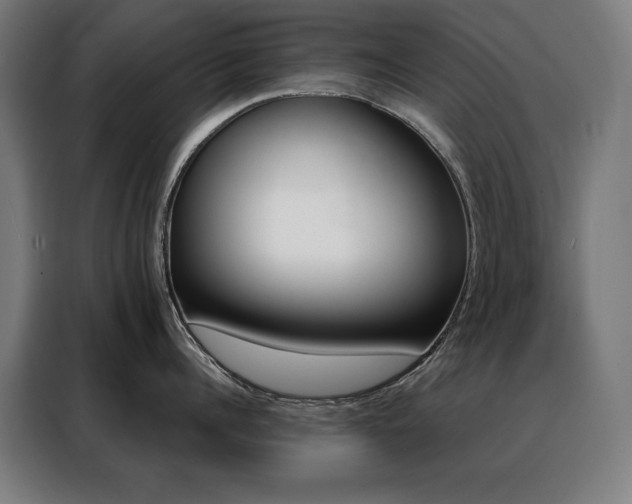 X0000088390960200705221112