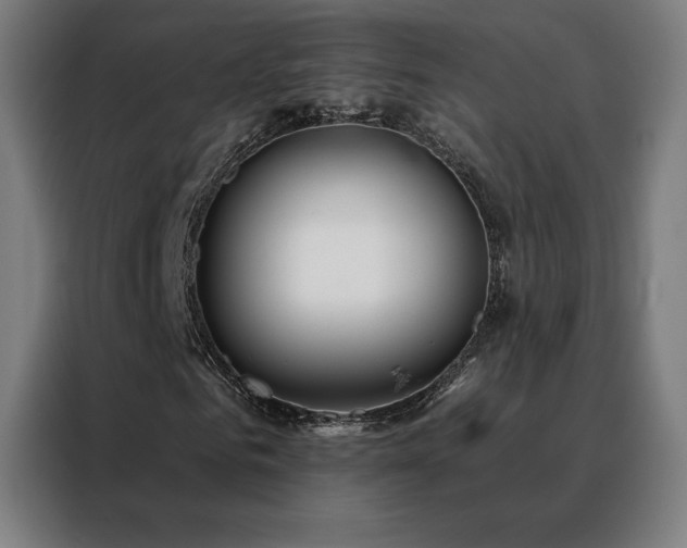 X0000088390961200705221111