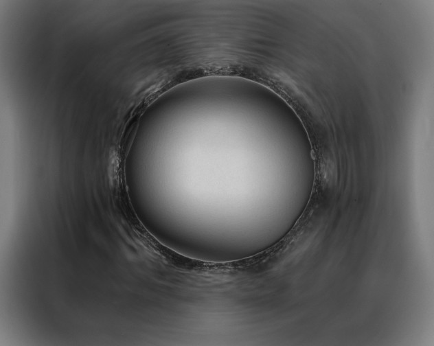 X0000088390964200705221111