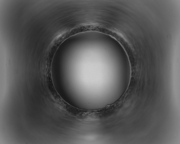 X0000088390967200705221111