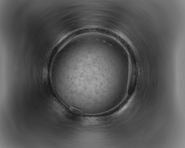 X0000088390969200705221111