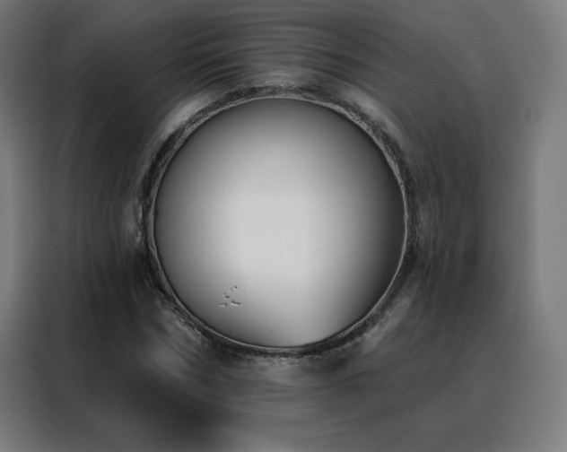 X0000088390970200705221111