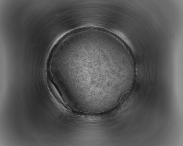 X0000088390972200705221111