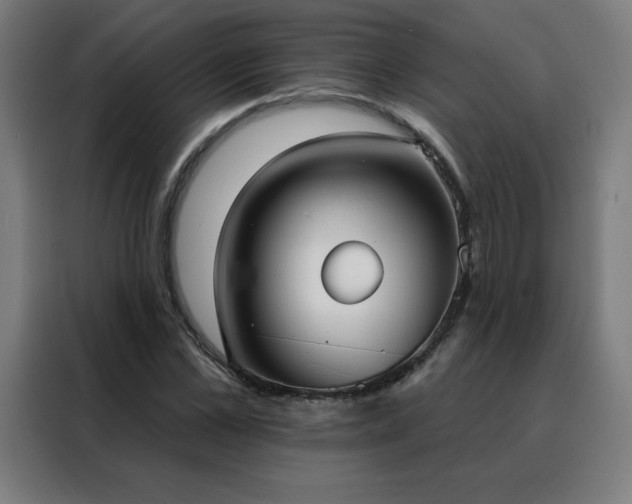 X0000088390973200705221111