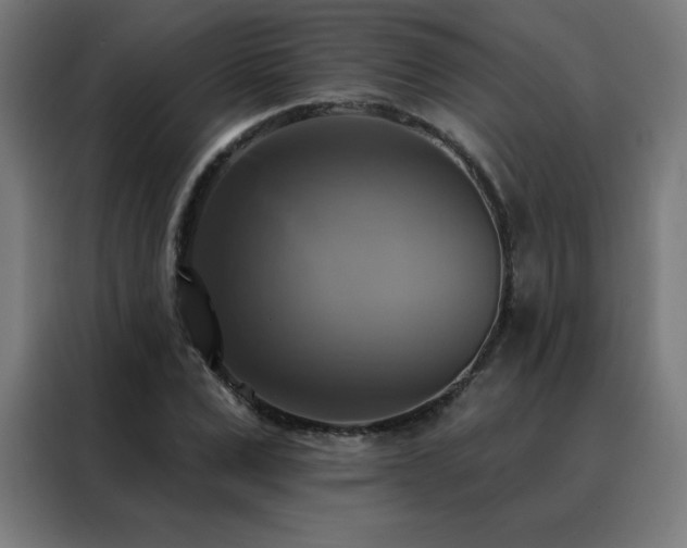 X0000088390975200705221111