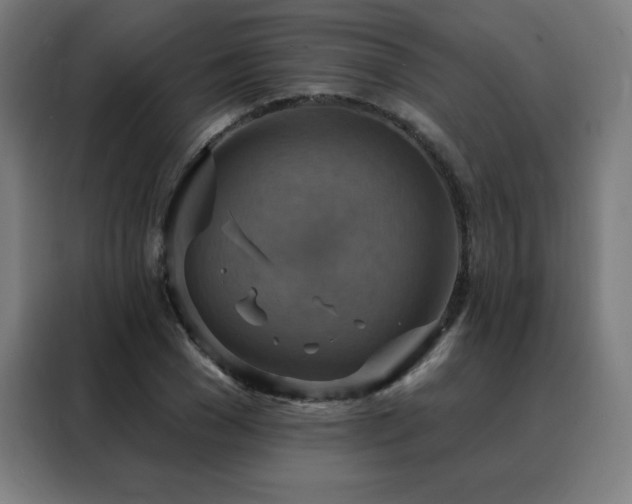 X0000088390977200705221111