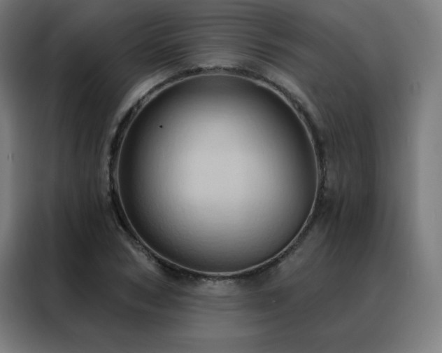 X0000088390978200705221111