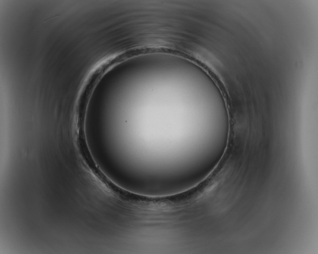 X0000088390979200705221111