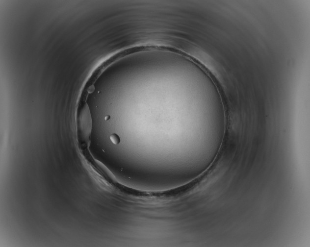 X0000088390980200705221111