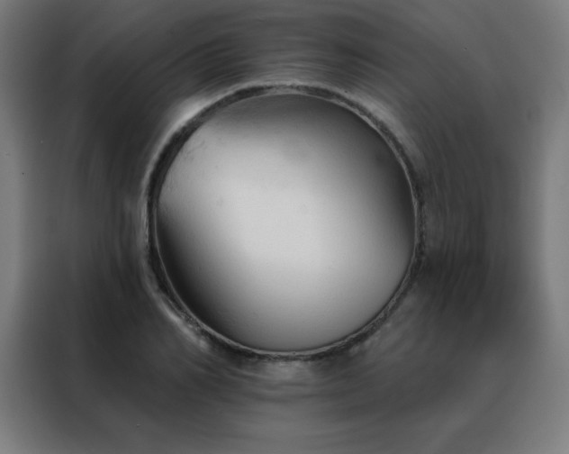 X0000088390982200705221111