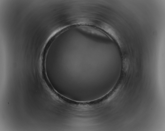 X0000088390983200705221111