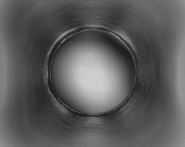 X0000088390984200705221111