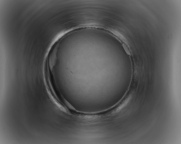 X0000088390989200705221111