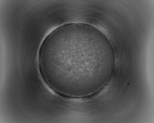 X0000088390990200705221111