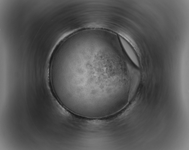 X0000088390992200705221111