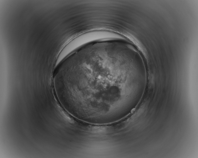 X0000088390993200705221111