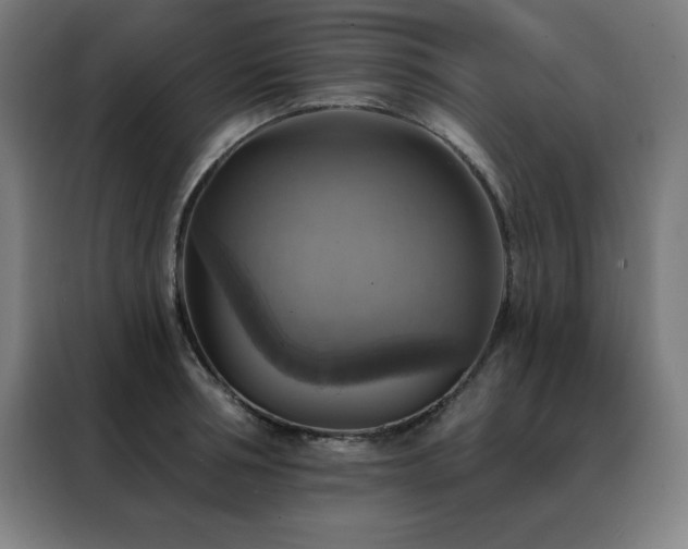 X0000088390994200705221110