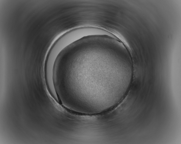 X0000088390996200705221110