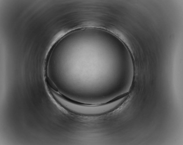 X0000088390997200705221110