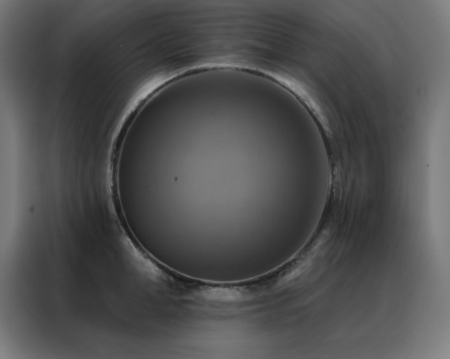 X0000088390998200705221110