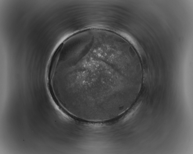 X0000088390999200705221110