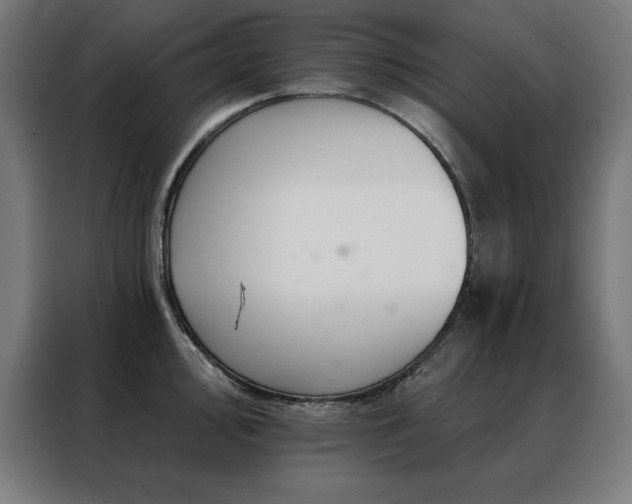 X0000088391000200705221110