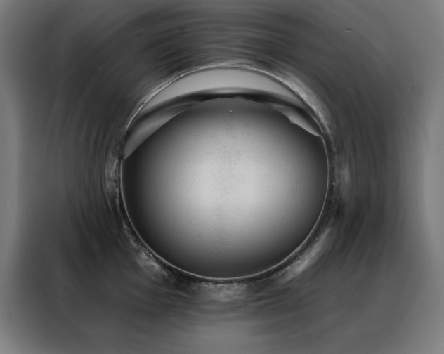 X0000088391001200705221110