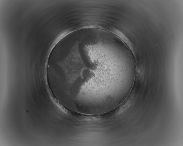 X0000088391002200705221110