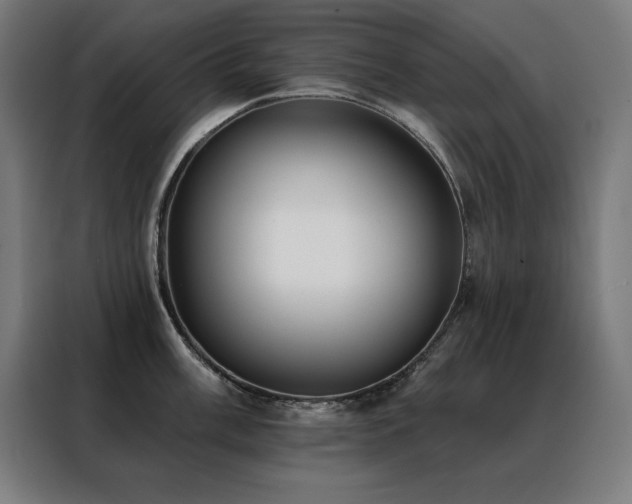 X0000088391003200705221110