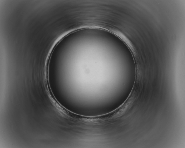 X0000088391004200705221110