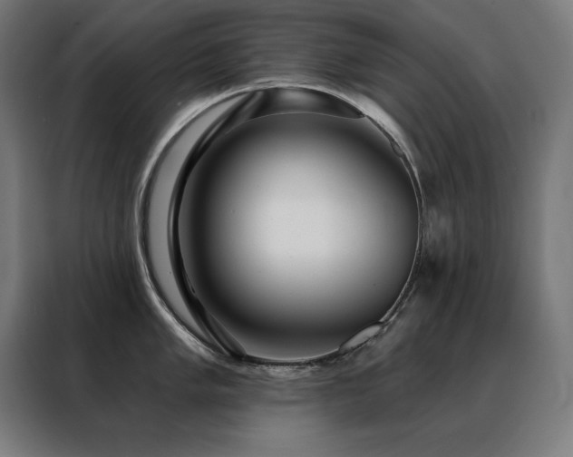 X0000088391005200705221110