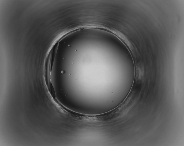 X0000088391006200705221110