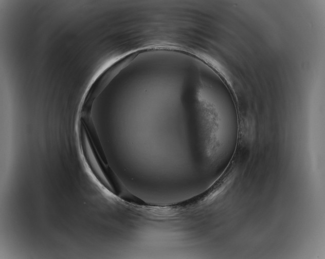 X0000088391007200705221110