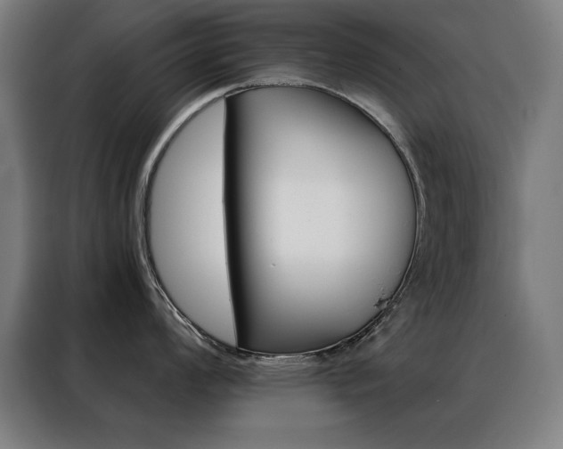 X0000088391008200705221110