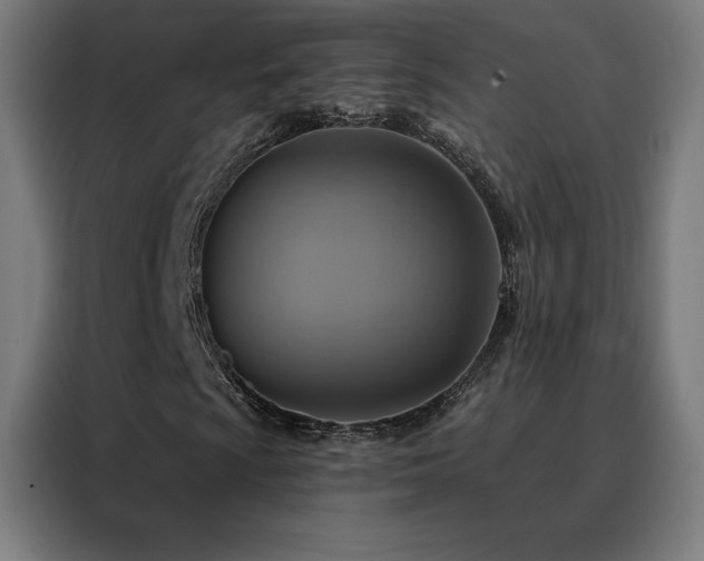 X0000088391009200705221110