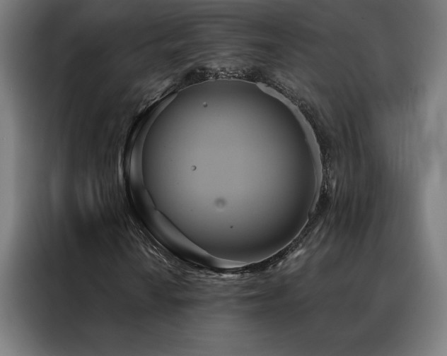 X0000088391010200705221110