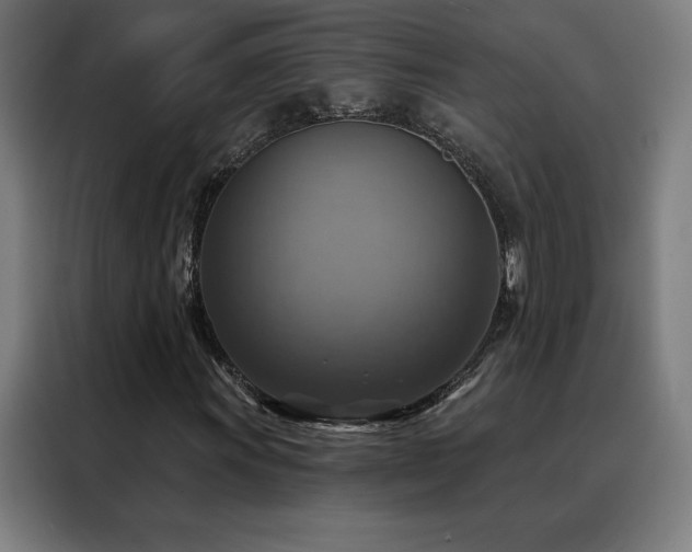 X0000088391011200705221110