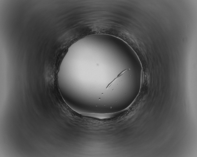 X0000088391012200705221110